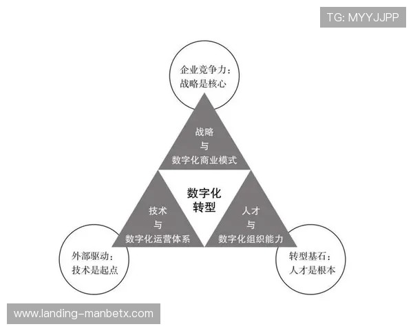 66体育在数字化时代的创新发展路径与商业模式分析